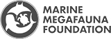marine megafauna foundation