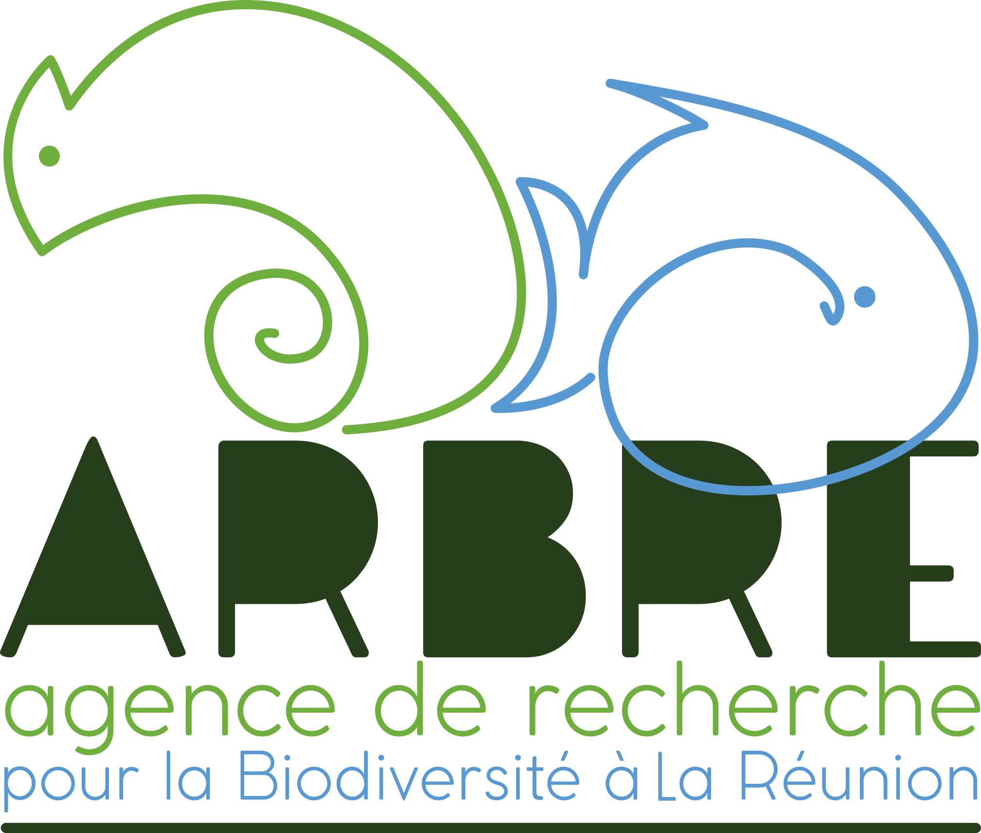 Arbre Reunion