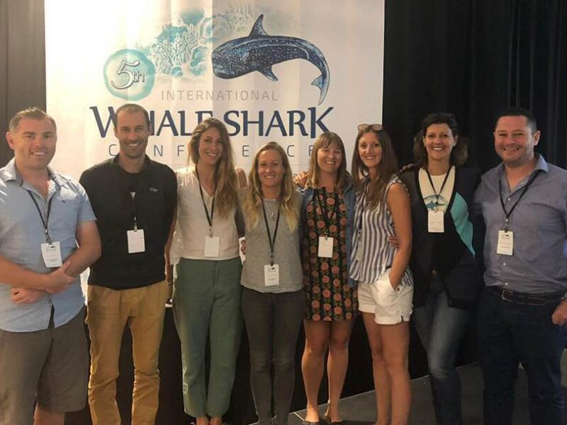 International Whale Shark Conference V