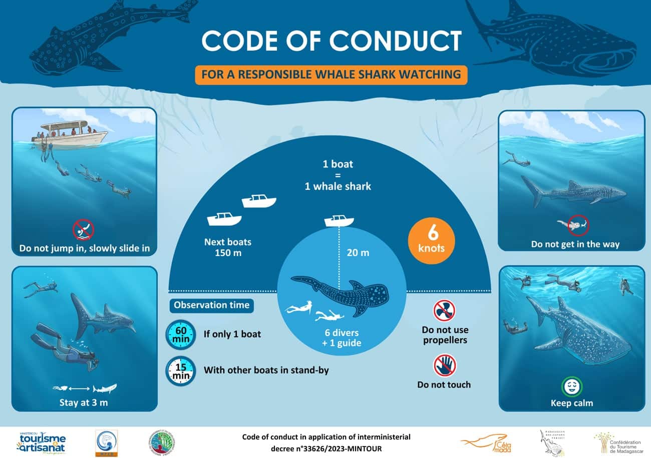 Code-of-Conduct-Whale-Sharks