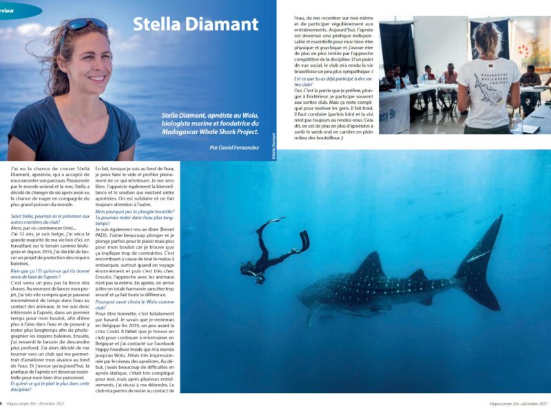 Stella’s interview