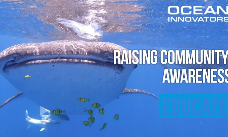 Madagascar Whale Shark Project