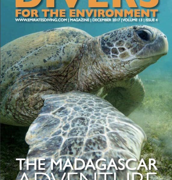 The Madagascar Aventure