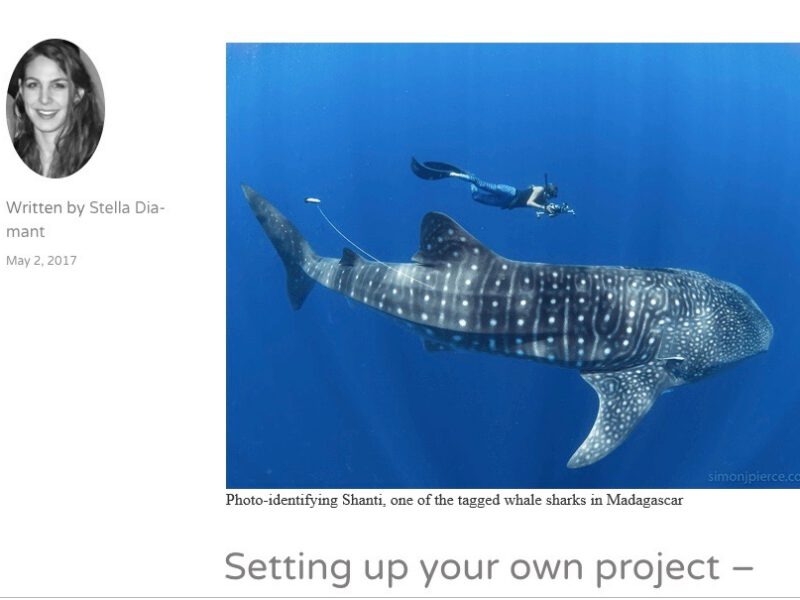Setting up your own project – lessons learnt from the Madagascar Whale Shark Project