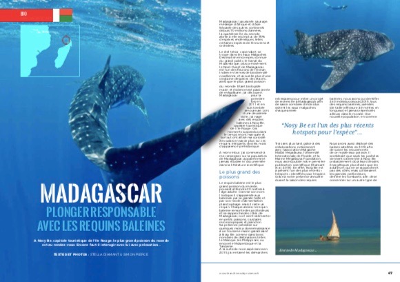 Madagascar: Plonger Responsable Avec Les Requins Baleine