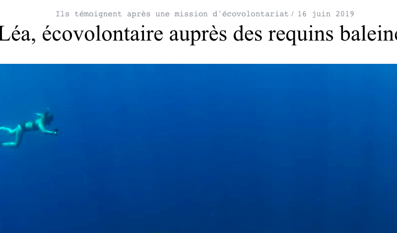 Léa, écovolontaire auprès des requins baleines