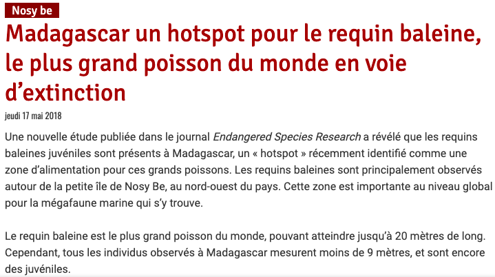 Madagascar un hotspot pour le requin baleine, le plus grand poisson du monde en voie d’extinction