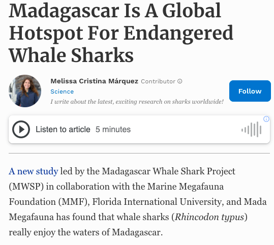 Madagascar Is A Global Hotspot For Endangered Whale Sharks