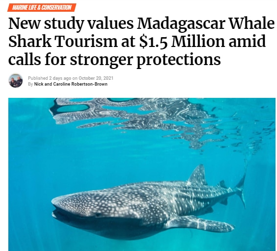 New study values Madagascar Whale Shark Tourism at $1.5 Million amid calls for stronger protections