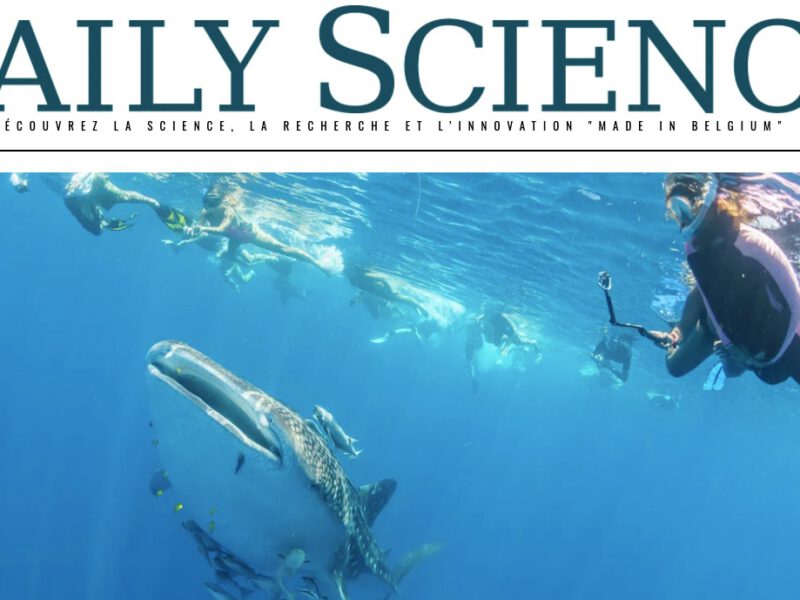 Les jeunes requins-baleines apprécient les eaux Malgaches