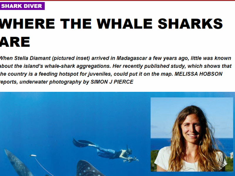 Where the Whale Sharks Are