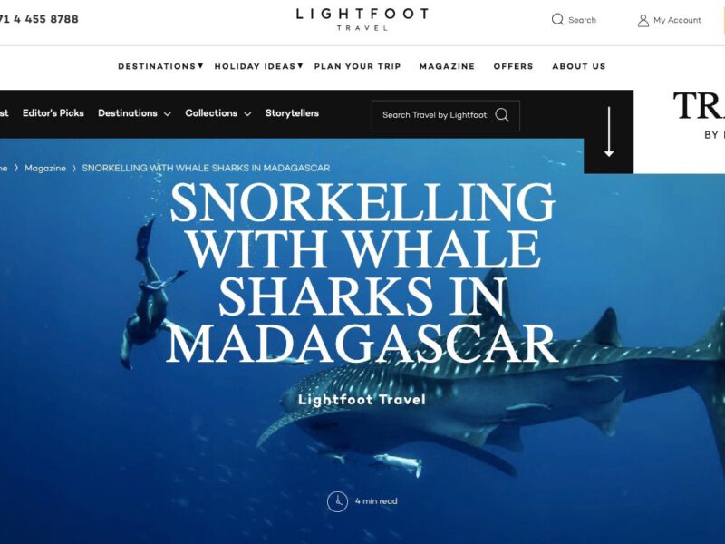 Snorkelling with Whale Sharks in Madagascar