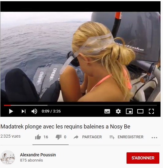 Madatrek plonge avec les requins baleine à Nosy Be