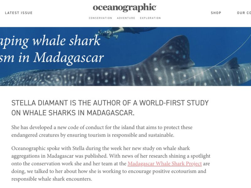 Reshaping Whale Shark Tourism in Madagascar