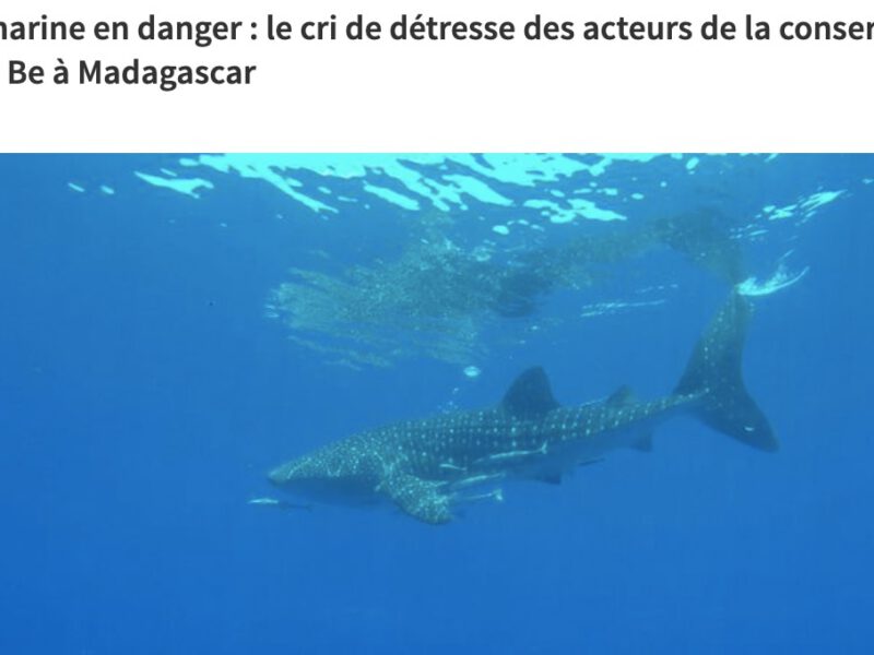 Faune marine en danger : le cri de détresse des acteurs de la conservation de Nosy Be à Madagascarhttps://madawhalesharks2025.romaincariou.com/wp-admin/edit.php?post_type=publications