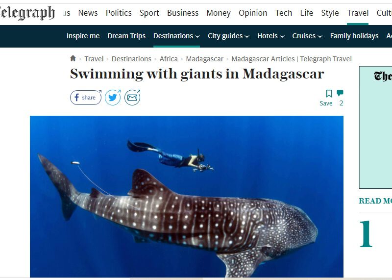 Swimming with giants in Madagascar