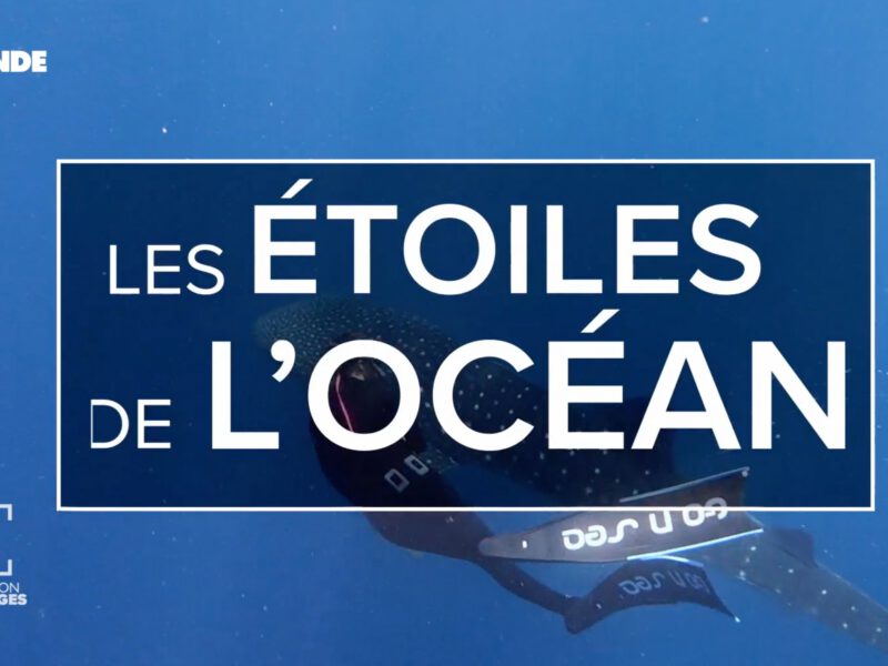 Les étoiles de l’océan
