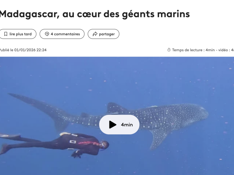 Madagascar, au coeur des géants marins