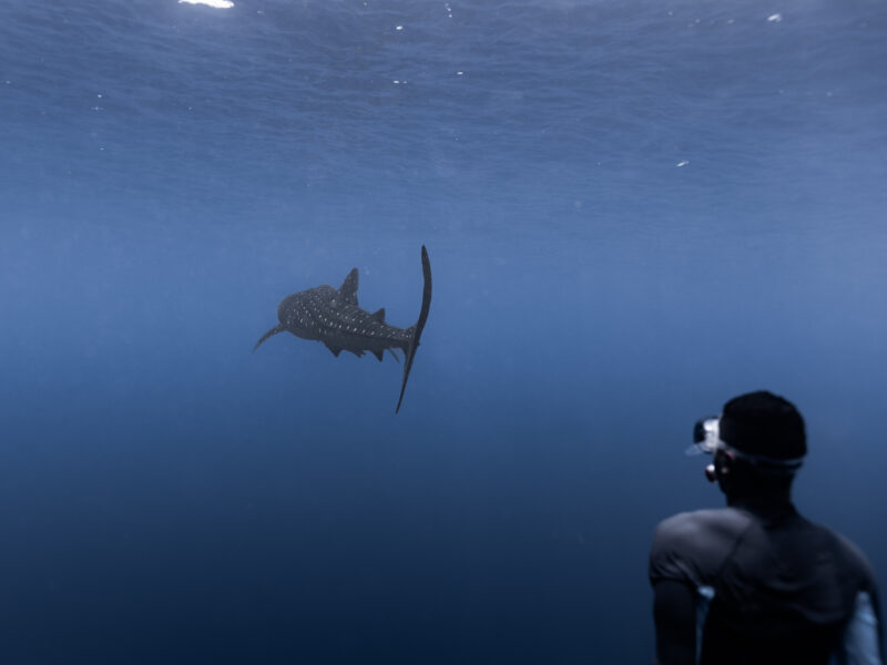 Results from our 8th season