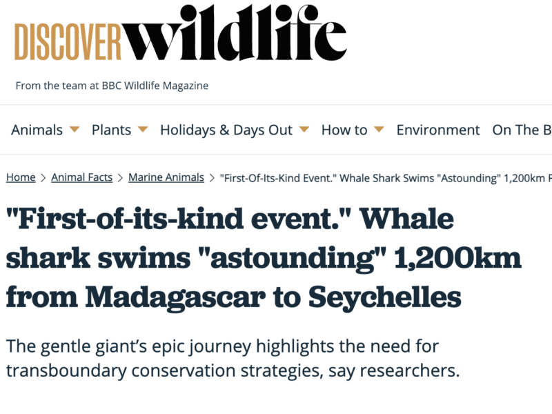“First-of-its-kind event.” Whale shark swims “astounding” 1,200km from Madagascar to Seychelles
