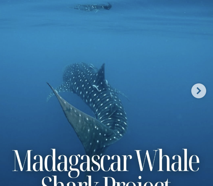 Impact Storytelling Podcast